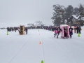 20150221-155856.jpg