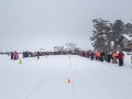 20150221-160043.jpg