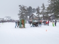 20150221-160116-2.jpg