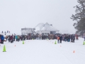 20150221-161604.jpg