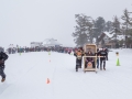 20150221-161715.jpg