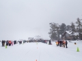 20150221-162015.jpg