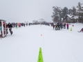 20150221-162035.jpg