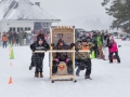 20150221-162850.jpg